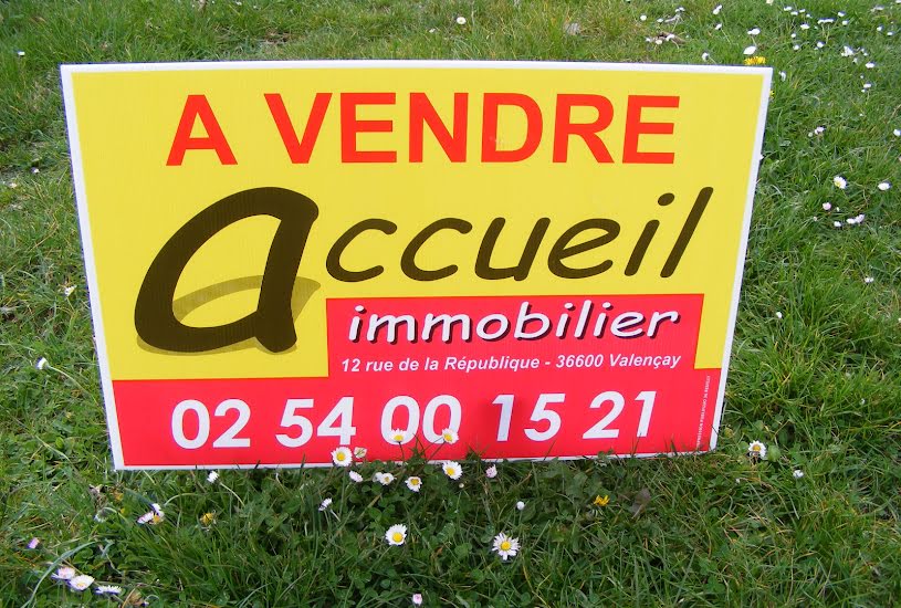  Vente Terrain à bâtir - 2 500m² à Luçay-le-Mâle (36360) 