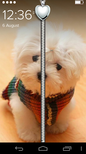 Cute Puppy Zipper Lock Screen