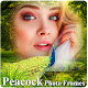 Download Peacock Photo Frames For PC Windows and Mac 1.0