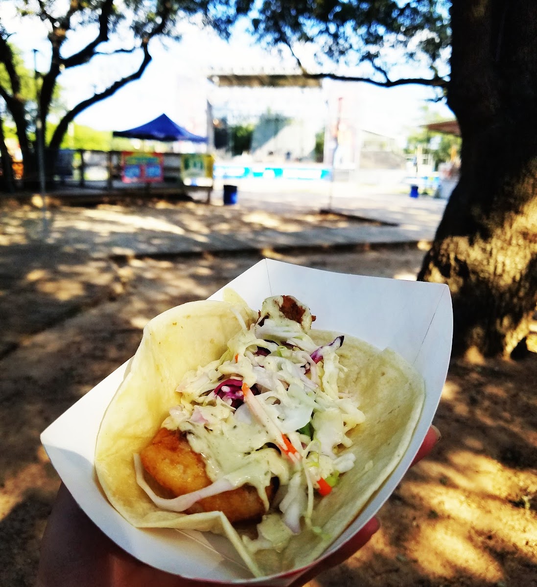 Redfish Tacos on Fresh Corn Tortillas and Habanero Slaw