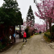 山上人家森林農場