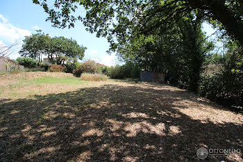 terrain à Roquebrune-sur-Argens (83)