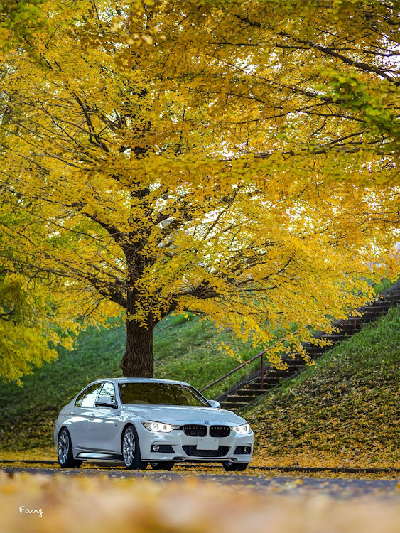 3シリーズ セダンのBMW・スイフトスポーツ・俺達らいもん・イチョウ並木・LUMIX G9 Pro Ⅱに関するカスタム事例の投稿画像12枚目