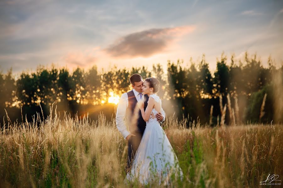 Wedding photographer Dávid Moór (moordavid). Photo of 12 June 2017