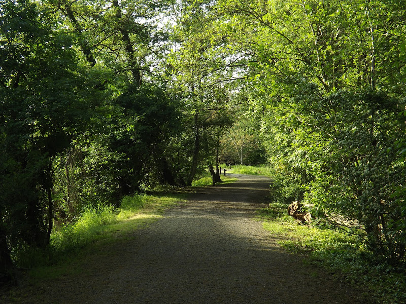 la strada di Luigia