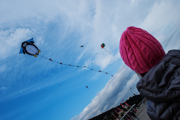 piccoli sogni in  volo di Zerosedici