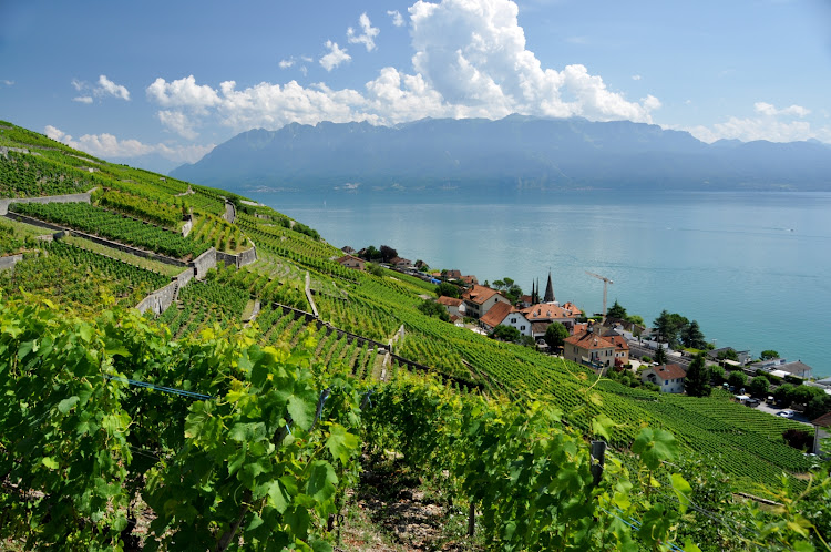 Lavaux, Switzerland.