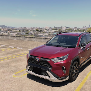 RAV4 AXAH52