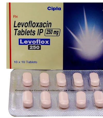 LEVOFLOX 250MG TAB 10'S