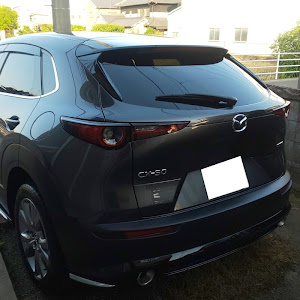 CX-30 DM8P