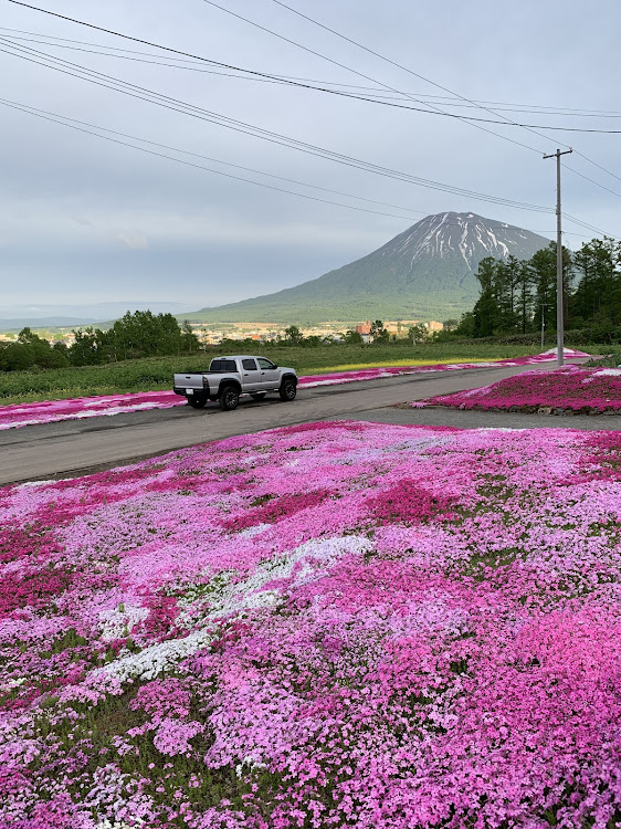 の投稿画像2枚目