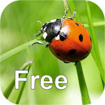 Cover Image of Baixar Natureza - Europa 3.5 APK