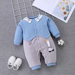 Duckling blue
