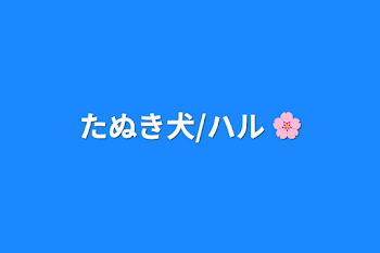 たぬき犬/ハル 🌸