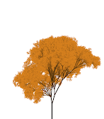 Autumn-Spring Fractal Trees
