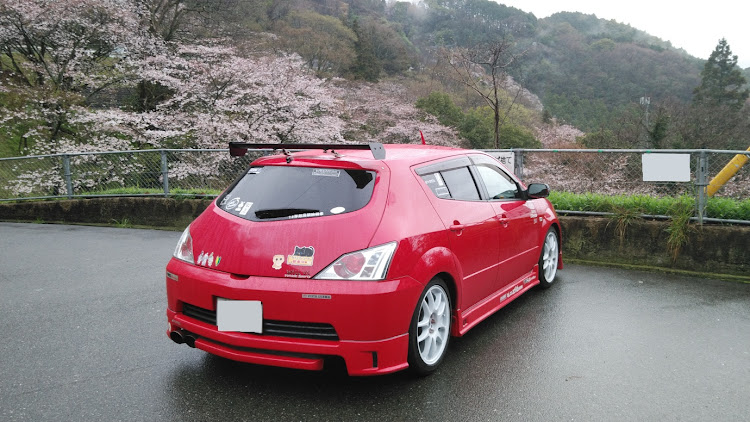 WiLL VSの桜と愛車・八木山展望台・ドライブ・ZZE128に関するカスタム事例の投稿画像1枚目