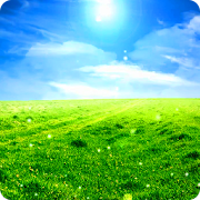 Nature Green Field LiveWP 1.0 Icon