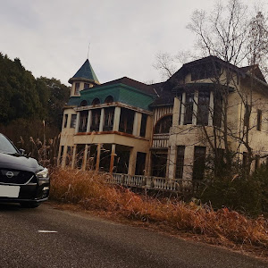 スカイライン RV37
