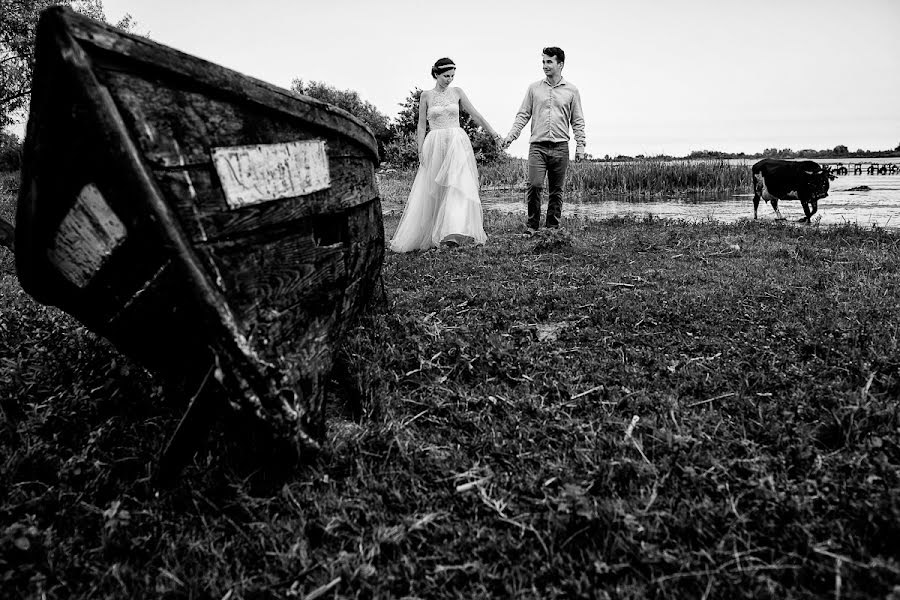 Photographe de mariage Vali Matei (matei). Photo du 28 juillet 2017