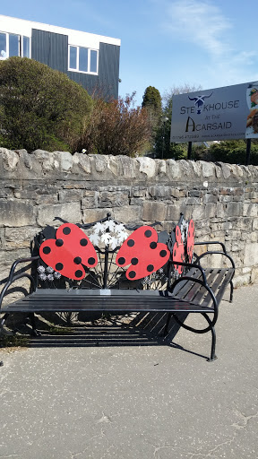 Ladybug Bench