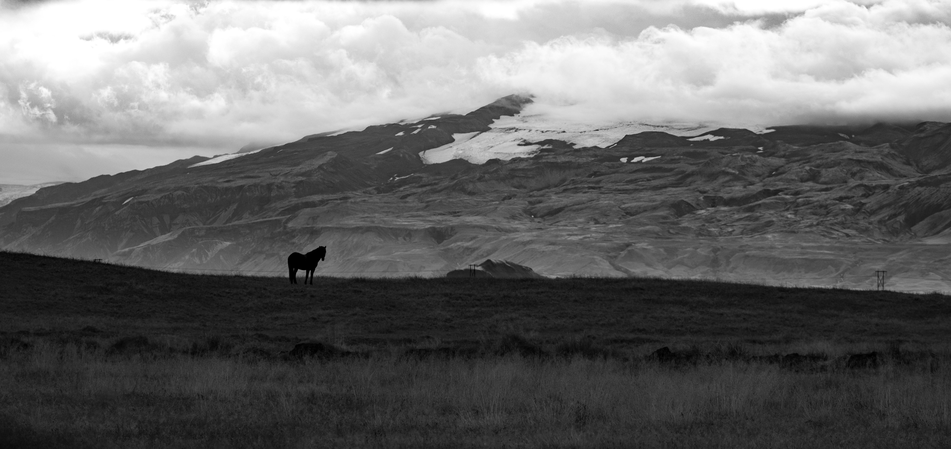 Solo un cavallo... di Franz01