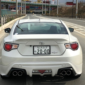 86 ZN6