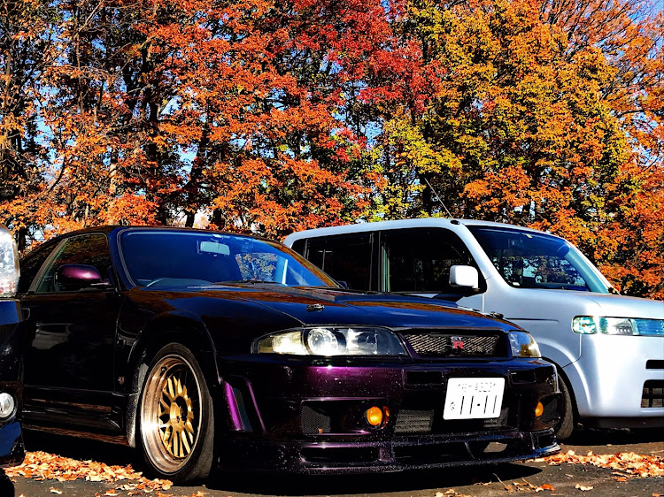 スカイライン GT-RのBCNR33・スカイラインGT-R・GT-R・紅葉に関するカスタム事例の投稿画像2枚目