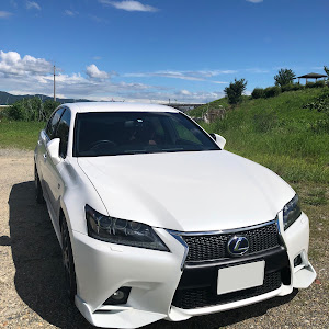 GS GWL10