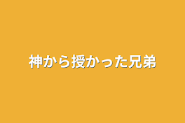 神から授かった兄弟