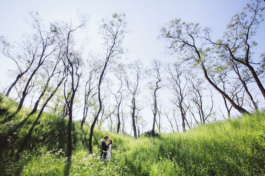 結婚式の写真家Aleksandr Korobov (tomirlan)。2017 5月23日の写真