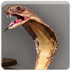 Download The Slithering Snake Game For PC Windows and Mac 1.1