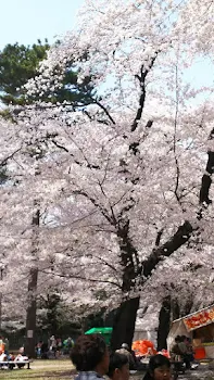 お別れ寂しいな