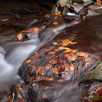 autumn on the river di 