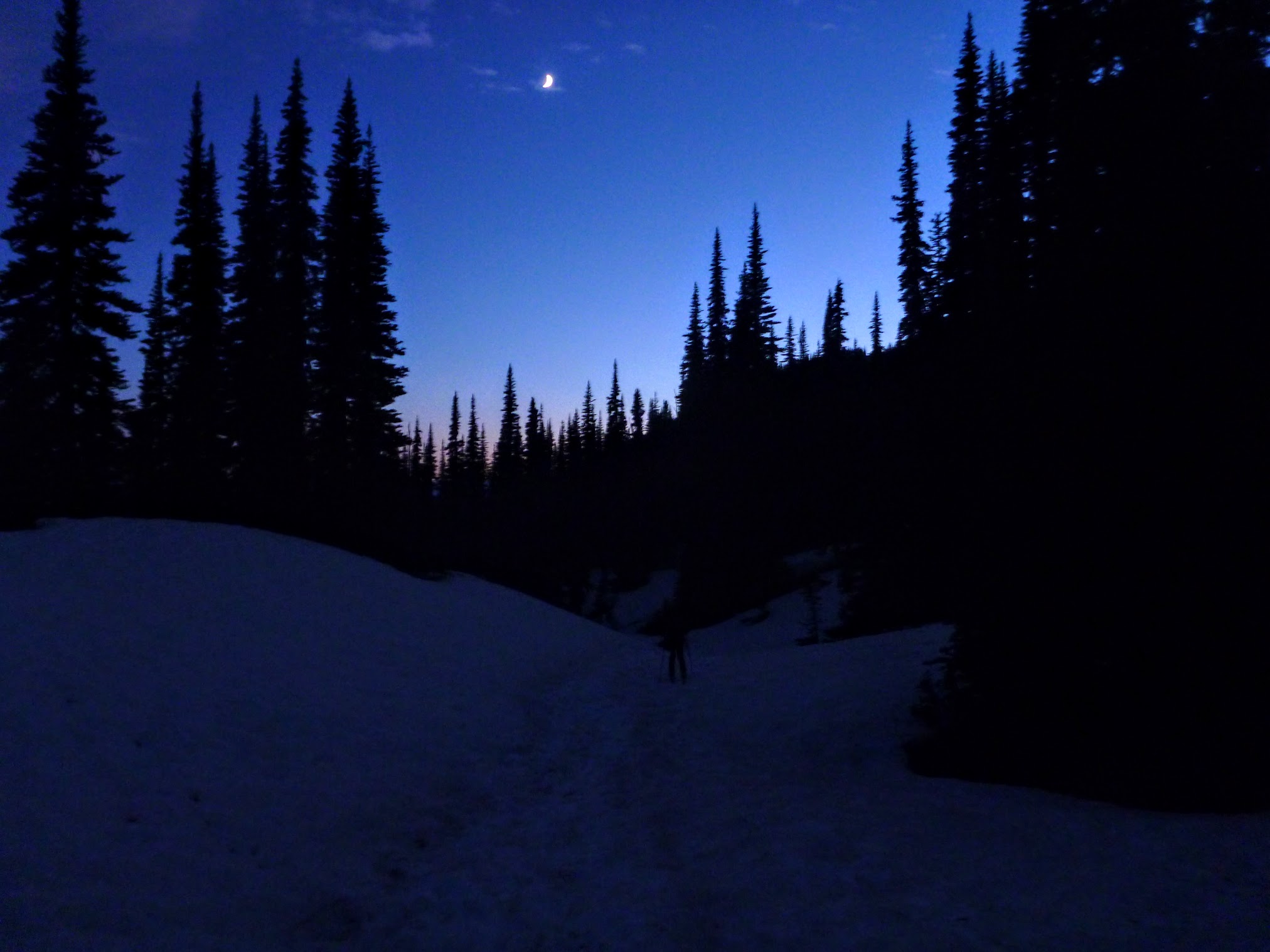 Taylor Meadows Under the Moon