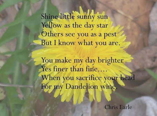 Dandelion Wine image