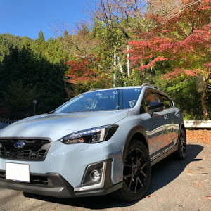 XV