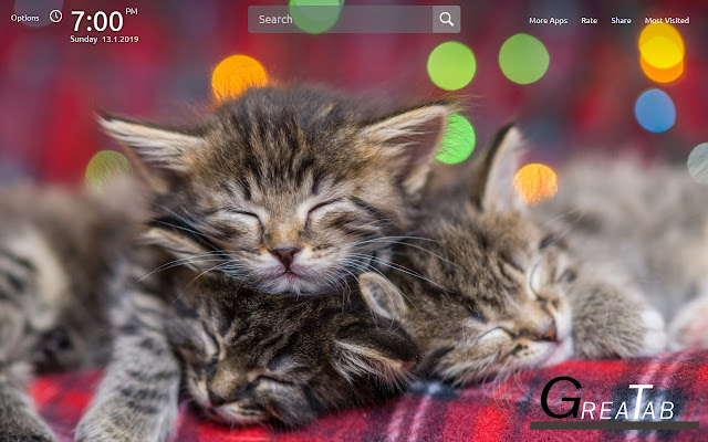 Cute Kittens Wallpapers Theme|GreaTab