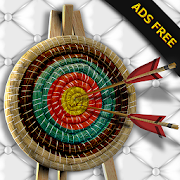 Archery Champion PRO: ADS FREE MOD