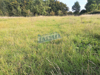 terrain à Doullens (80)