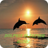 Healing Dolphin & Whales Sound icon