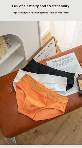 Title 5, Mens Mid-waist Modal Thread Underwear Briefs B...