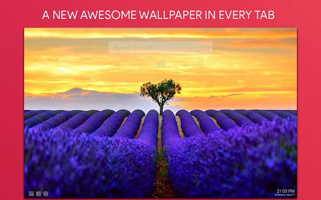 Lavender Wallpaper HD Custom New Tab