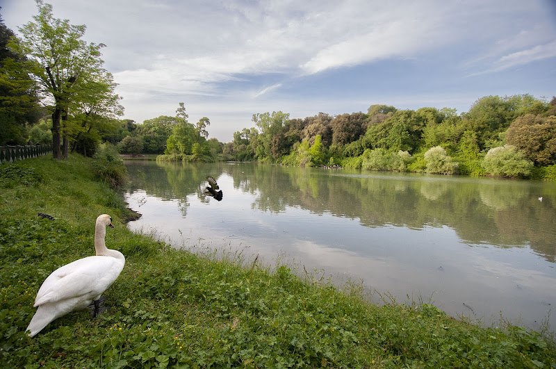 Villa Pamphili Roma Il laghetto di Luporosso