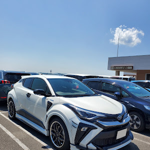 C-HR ZYX11