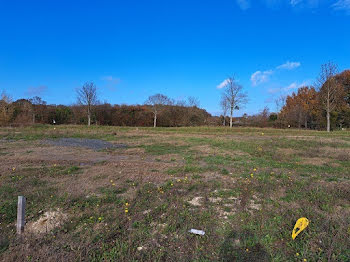 terrain à Saumur (49)