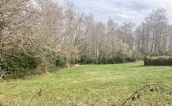 terrain à Roannes-Saint-Mary (15)