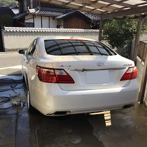 LS USF40