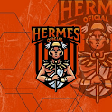 HERMES ECLIPSE icon