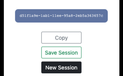 Keystroke Biometrics Logger