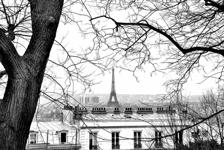 Paris chic di Salvatore Gulino